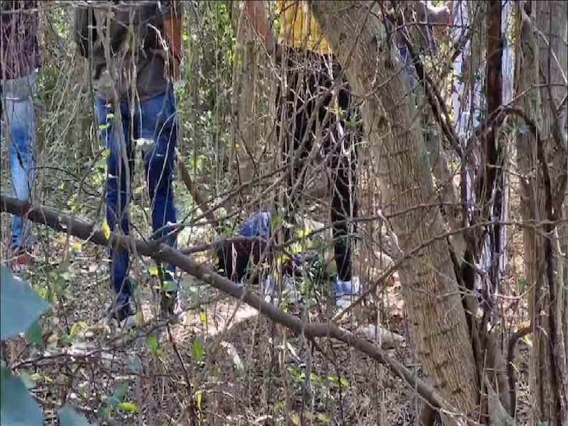 তাঁর দাবি, অল্প বয়স থেকেই নিয়ন্ত্রণের বাইরে চলে যেতে শুরু করে সৌমিত্র। বয়স বাড়ার সঙ্গে সঙ্গে সৌমিত্র ছেড়ে দেয় পড়াশোনাও। 