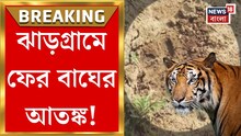ঝাড়গ্রামে ফের বাঘের আতঙ্ক! থাবার ছাপে আতঙ্ক বেলপাহাড়িতে
