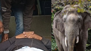 
অন্ধ্রপ্রদেশে মহাশিবরাত্রির পুজো দিতে যাওয়ার পথেই হাতির হানা! মৃত ৩, আহত ২ ভক্ত