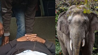 অন্ধ্রপ্রদেশে মহাশিবরাত্রির পুজো দিতে যাওয়ার পথেই হাতির হানা! মৃত ৩, আহত ২ ভক্ত
অন্ধ্রপ্রদেশে মহাশিবরাত্রির পুজো দিতে যাওয়ার পথেই হাতির হানা! মৃত ৩, আহত ২ ভক্ত