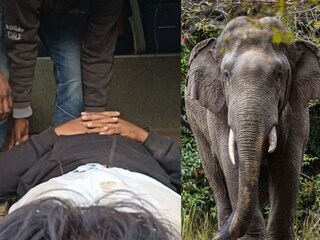 
অন্ধ্রপ্রদেশে মহাশিবরাত্রির পুজো দিতে যাওয়ার পথেই হাতির হানা! মৃত ৩, আহত ২ ভক্ত