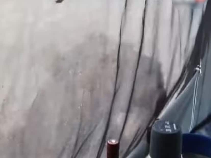 কিন্তু সকালে তিনি দেখেন তার ক্যাম্পের বাইরে দুটি সিংহ। আয়েশ করে ক&#x200d;্যাম্পের কাপড় চাঁটছে দুটি সিংহ। শিউরে ওঠার মতো এই ভিডিও প্রকাশ&#x200d;্যে আসতেই তোলপাড় ফেলে দেয় সোশ&#x200d;্যাল মিডিয়ায়। 