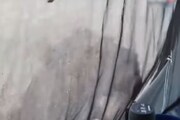 পাহাড়ে ঘুরতে গিয়ে এ কী কাণ্ড! রাতে ক‍্যাম্প খাটিয়ে ঘুম, সকালে উঠেই যা দেখল ব‍্যক্তি...