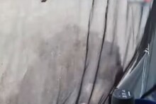 পাহাড়ে ঘুরতে গিয়ে এ কী কাণ্ড! রাতে ক‍্যাম্প খাটিয়ে ঘুম, সকালে উঠেই যা দেখল ব‍্যক্তি...