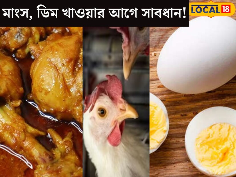 ফের শঙ্কা ছড়াচ্ছে বার্ড ফ্লু! তবে বার্ড ফ্লু ছড়ালে ও খাওয়া যাবে মুরগির মাংস এবং ডিম। কিন্তু, কীভাবে খাবেন? অযথা ভয় না পেয়ে মেনে চলুন বিশেষজ্ঞের পরামর্শ। মুরগির মাংস ও ডিম খাওয়ার বিষয়ে পরামর্শ দিলেন বিশিষ্ট চিকিৎসক ডক্টর সন্দীপ ঝম্পটি।