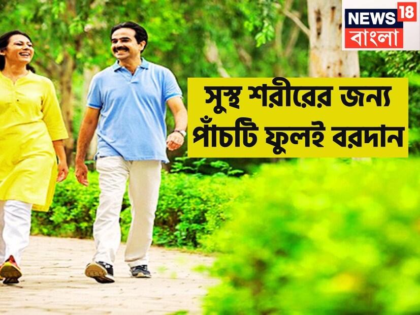 ফুল অর্থাৎ সোন্দর্যে পরিপূর্ণ, ভাললাগার চরম মাত্রা ৷ পরিবেশ বা আশেপাশের অবস্থান অত্যন্ত পরিমাণে ভাল ও দৃশ্য মধুর করে তোলে ৷ প্রতীকী ছবি ৷