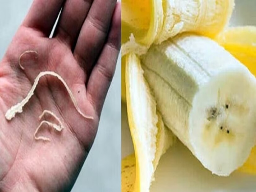 এই কলা খাওয়ার সময়ে খোসা ছাড়ালেই দেখা যায়, তার গায়ে সরু সুতোর মতো দেখতে তন্তু লেগে থাকে। এগুলি আসলে কী জানেন?