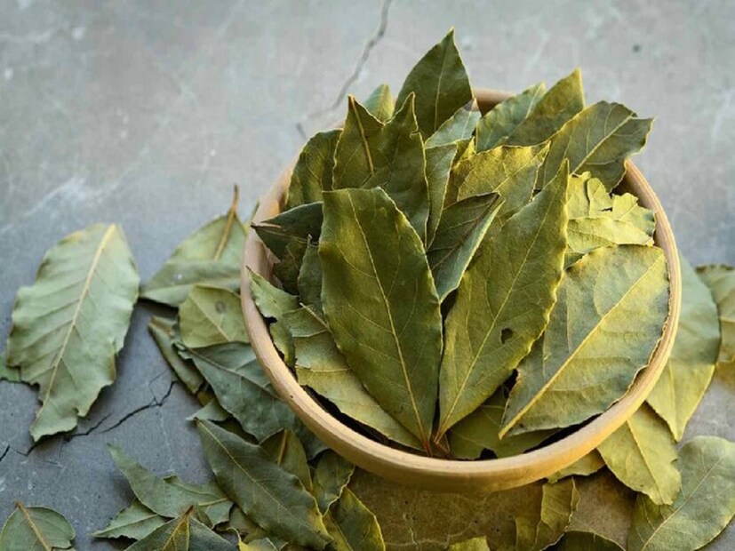 যদি আপনার আর্থিক অগ্রগতি বন্ধ হয়ে যায় বা অর্থের প্রবাহে বারবার বাধা আসে, তবে অবশ্যই তেজপাতা ব্যবহার করে এই প্রতিকারগুলি চেষ্টা করুন। রইল জ্যোতিষশাস্ত্রীয় প্রতিকার। 