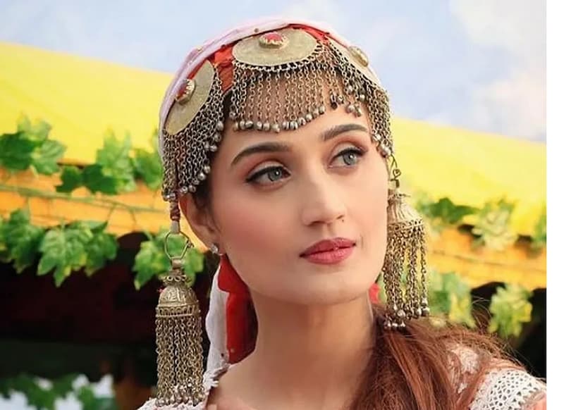 প্রলোভনে পড়ে আরুশি চার কোটি টাকা বিভিন্ন কিস্তিতে প্রদান করেন। প্রতারকরা আশ্বাস দেন, সিনেমা মুক্তির পর তিনি ২০% লাভ পাবেন এবং যদি চিত্রনাট্য পছন্দ না হয়, তবে ১৫% সুদসহ টাকা ফেরত দেওয়া হবে। আরও বলা হয়, শ্যুটিংয়ের পর তাঁর বিনিয়োগের তিনগুণ টাকা ফেরত দেওয়া হবে। 