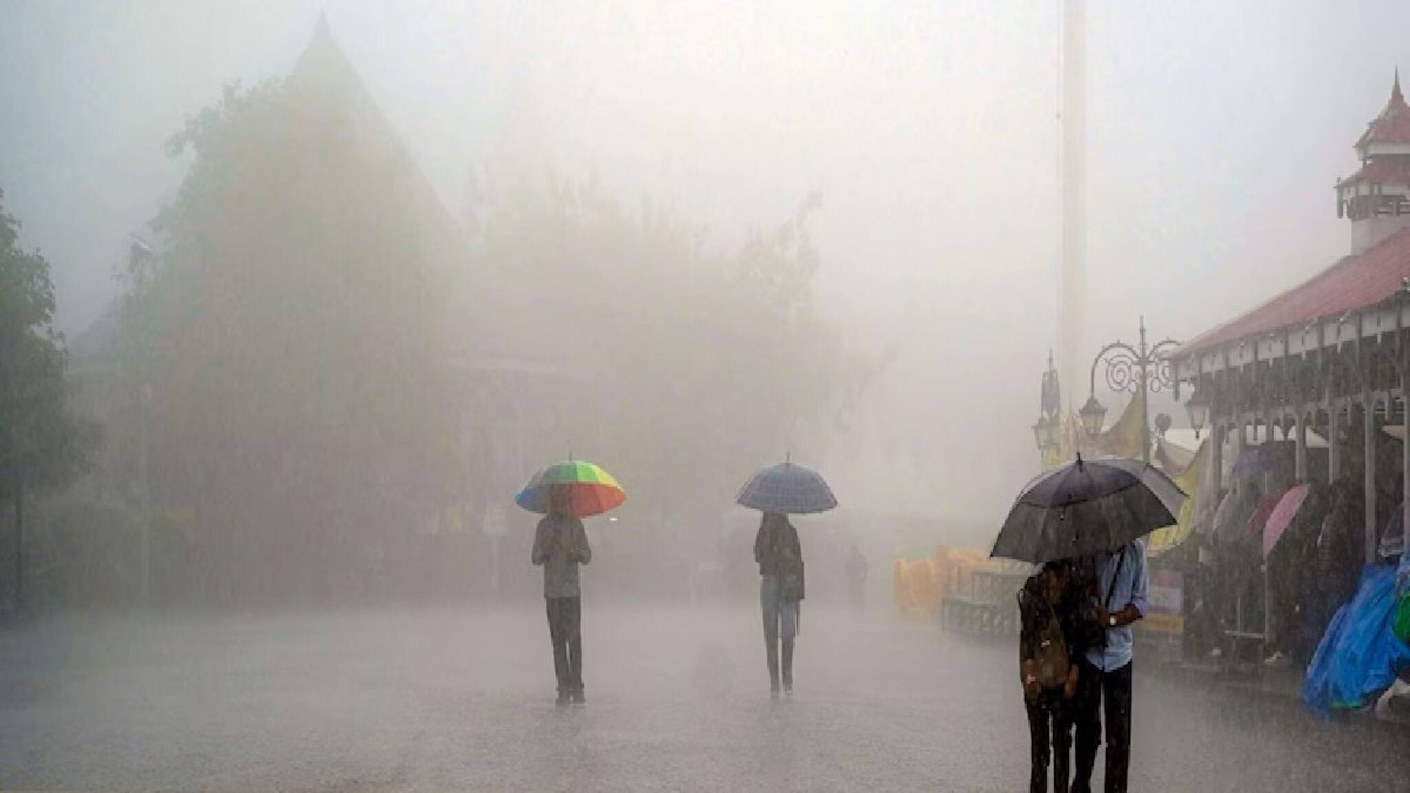 হলুদ সর্তকতায় ঘন কুয়াশার অ্যালার্ট শৈল শহর দার্জিলিংয়ে! চলতি সপ্তাহেও শীতের হাত থেকে রেহাই নেই