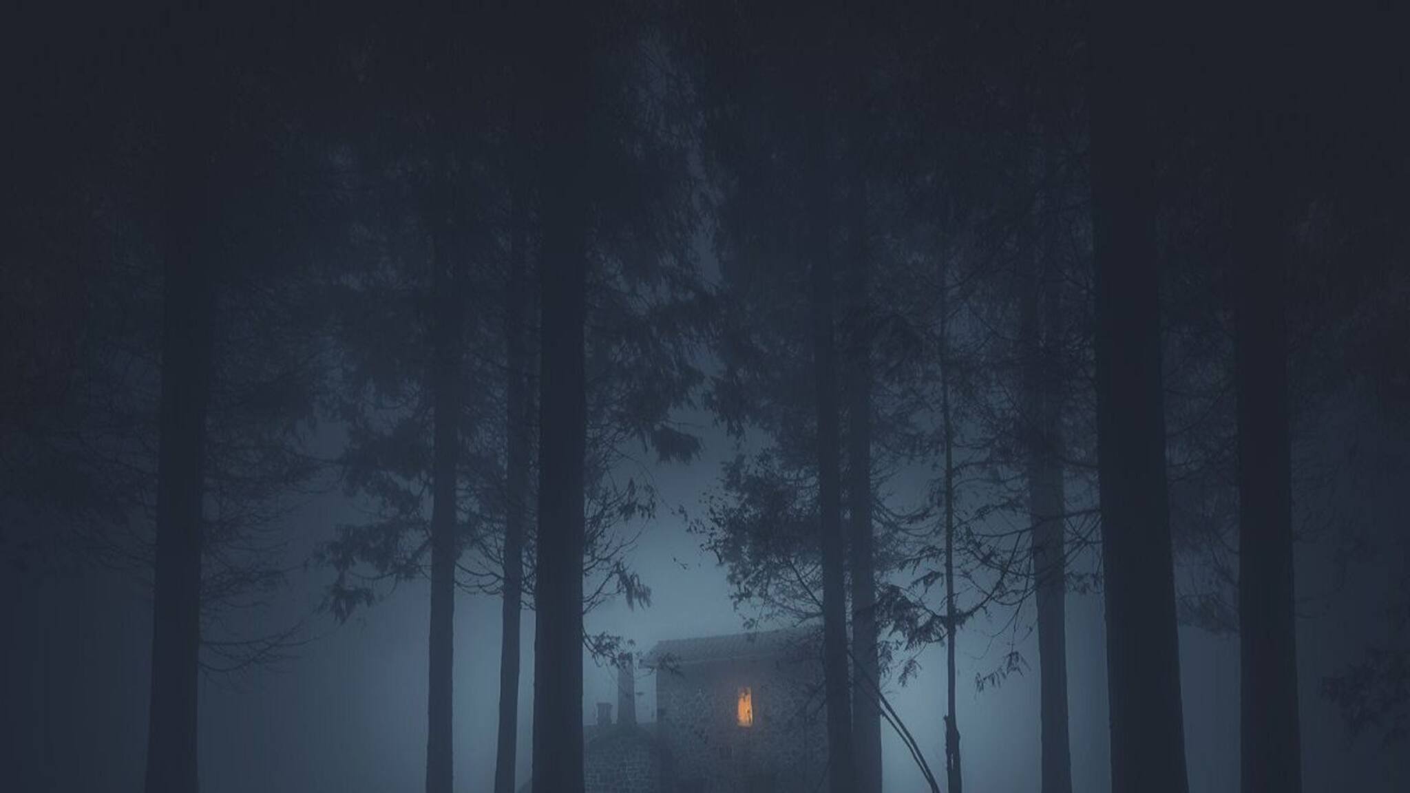 North Bengal: আকাশছোঁয়া পাইনবন! ঘন জঙ্গলে রাত্রিযাপন! দুপুরেও গা ছমছমে পরিবেশ! ছোট ছুটিতে ঘুরে আসুন