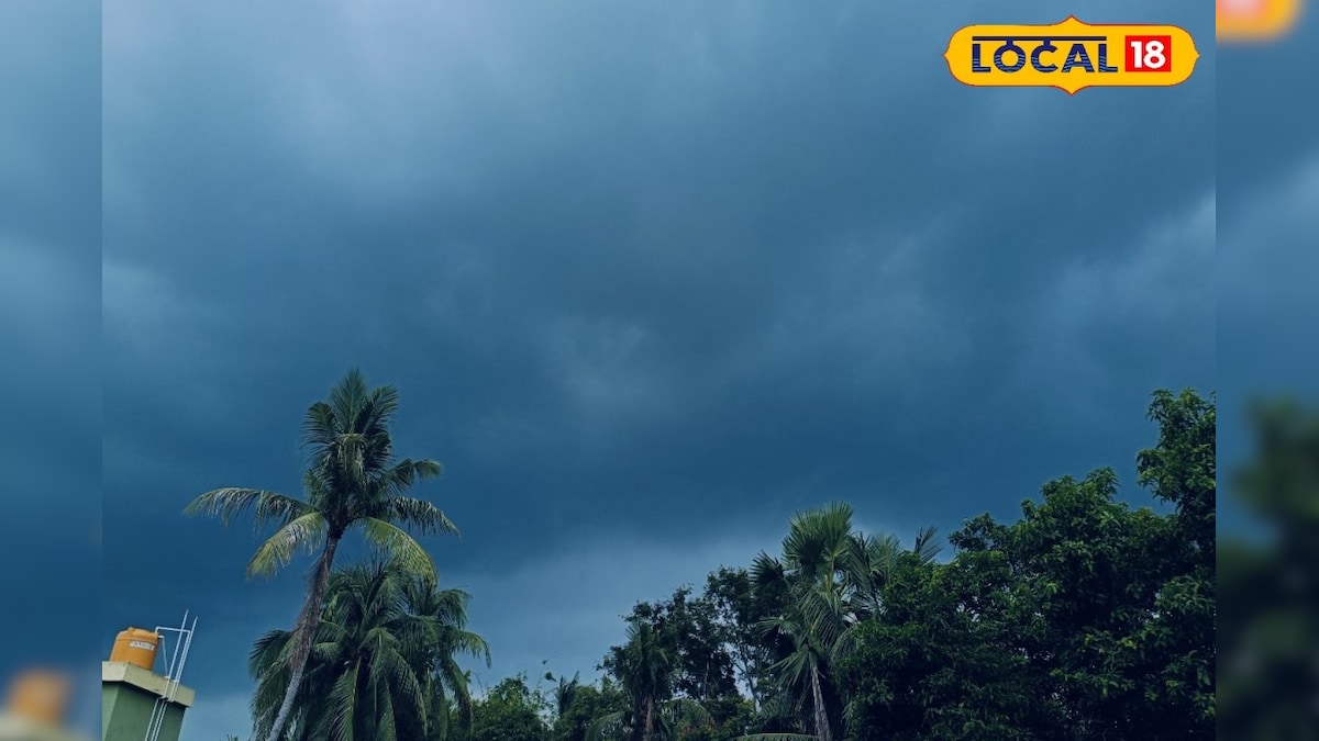 প্রেমদিবসে কাঁটা বৃষ্টি? আর কি কামব্যাক হবে শীতের? আবহাওয়ার বড় আপডেট! imd bengal weather update winter is leaving south bengal how are the southern districts