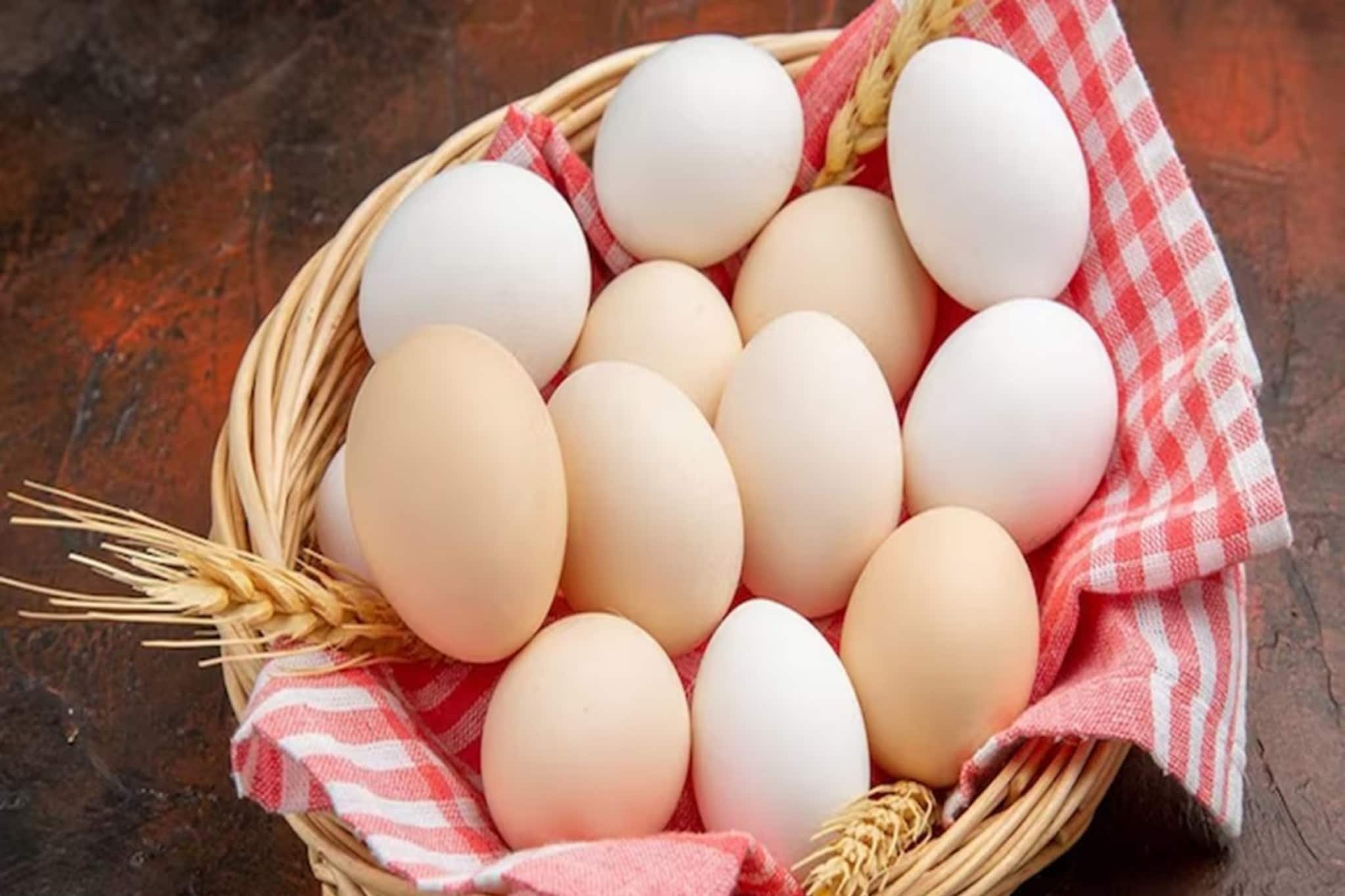 ডিম আমিষ নাকি নিরামিষ? কখনও ভেবে দেখেছেন কি? উত্তর জানলে কিন্তু চমকে যাবেন!