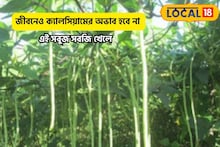 ক্যালসিয়ামের দামি ওষুধ লাগবে বা বয়সকালে, এই সবুজ সবজিতে হাড় থাকবে জবরদস্ত!