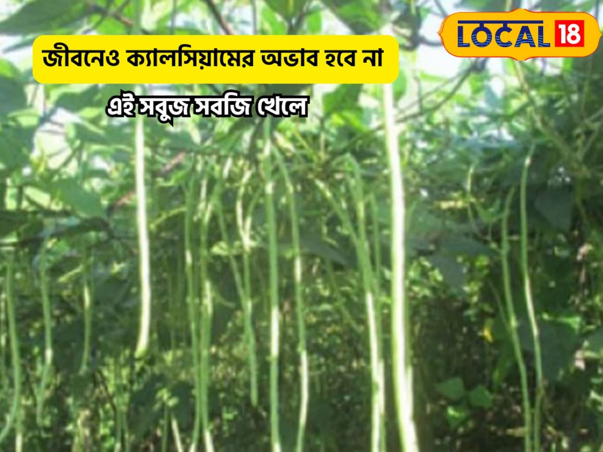 ক্যালসিয়ামের দামি ওষুধ লাগবে বা বয়সকালে, এই সবুজ সবজিতে হাড় থাকবে জবরদস্ত!