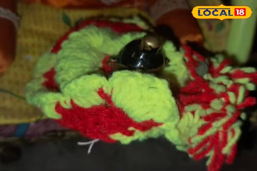 চুরি করার আগে নিশ্চয় পাপ লাগার ভয়েই বাড়িতে থাকা গোপালের মূর্তিকে আড়াল করে দেয় স্বয়ং চোর