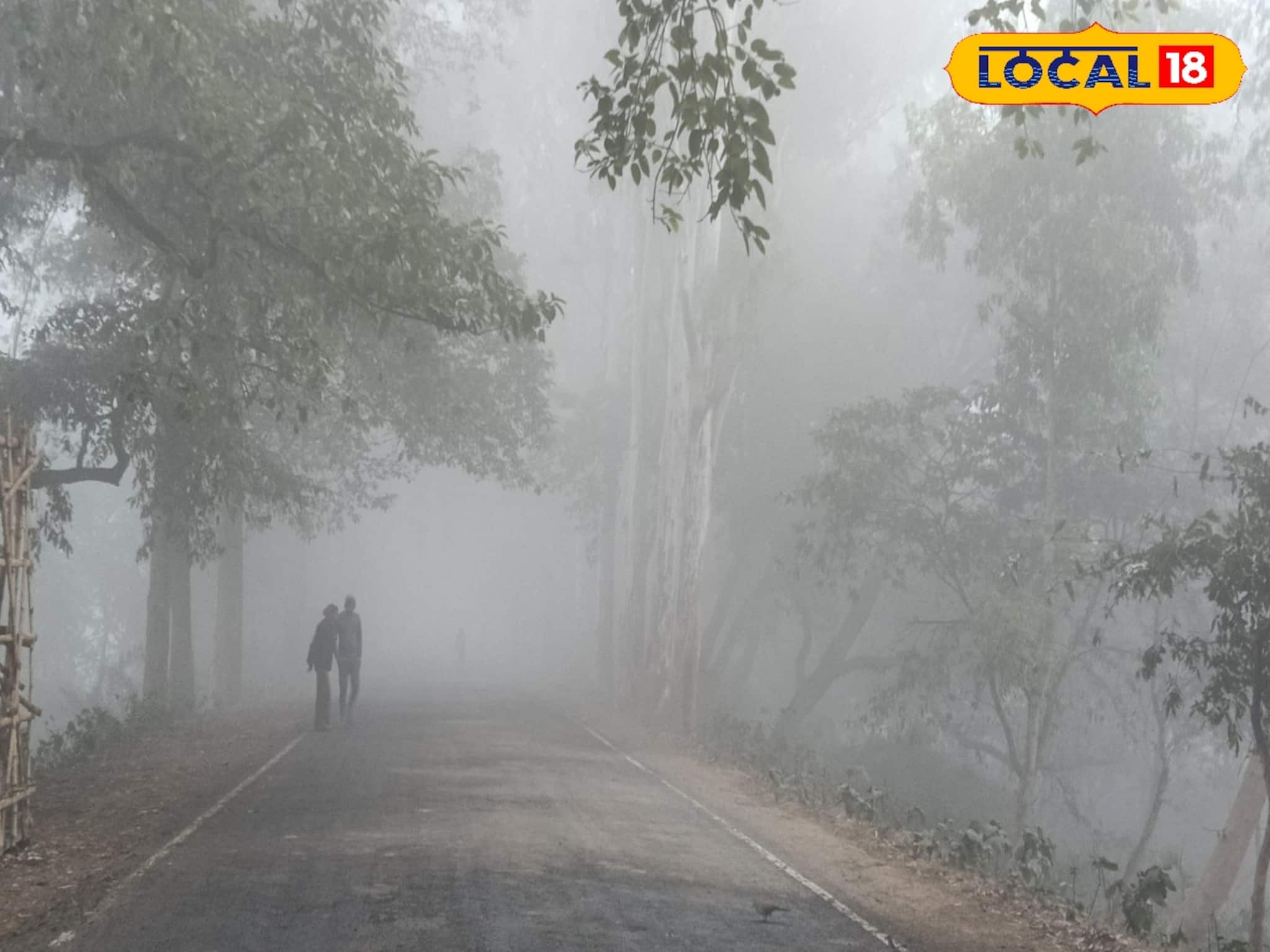 রোদের দেখা নেই, ঘিরেছে ঘন কুয়াশা! ঠান্ডা ঝোড়ো হাওয়া বাংলার ৪ জেলায়, আবহাওয়ার বড় খবর