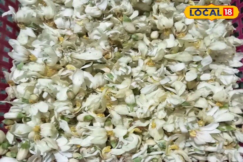 বছরের সব সময় পাওয়া যায়না এই ফুল। সেজন্য এখনই বাজার থেকে এই ফুল কিনে আনুন এবং আপনার পছন্দ মত পদ বানিয়ে অবশ্যই খান।