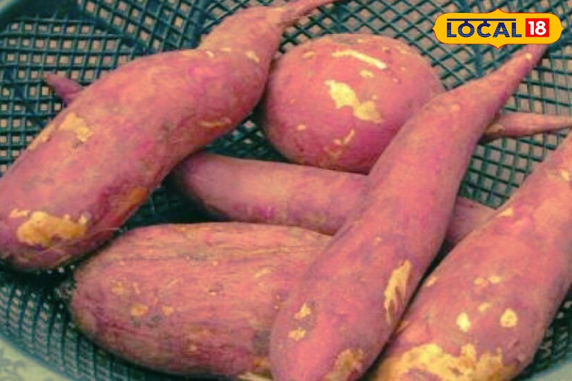 রাঙা আলু বিটা ক্যারোটিন, অ্যান্থাসায়ানিনের মতো অ্যান্টি-অক্সিড্যান্ট ভরপুর হওয়ায় শরীরের কোষের ক্ষতি মেরামত করতে সাহায্য করে থাকে।