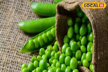 সারা বছর খেতে পারবেন মটরশুটি! ফ্রিজে রাখলেই হবে না, তার আগে আছে ছোট্ট 'প্রোসেস'