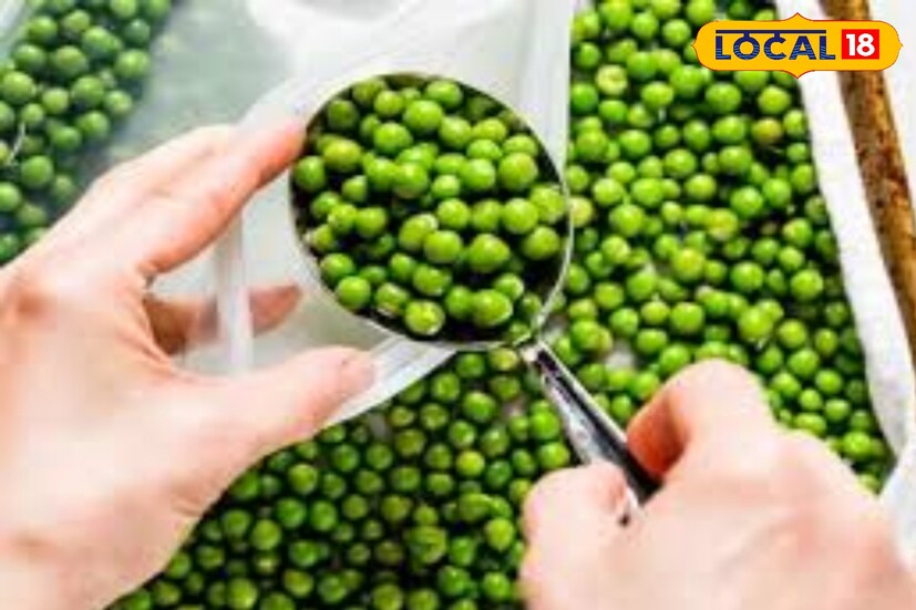 এবার অন্য একটি পাত্রে ঠান্ডা জল নিয়ে নিন। তাতে ওই সেদ্ধ করা মটর গুলি দিয়ে দিন। তারপর জল ঝরিয়ে যে কোন কাপড় বা পেপারের উপরে বিছিয়ে দিন। জল শুকিয়ে গেলে কোন মুখ বন্ধ করা বক্সে রেখে ফ্রিজে রেখে দিন এভাবে মটরশুটি সবুজ থাকবে এবং সারা বছর ব্যবহার করতে পারবেন।