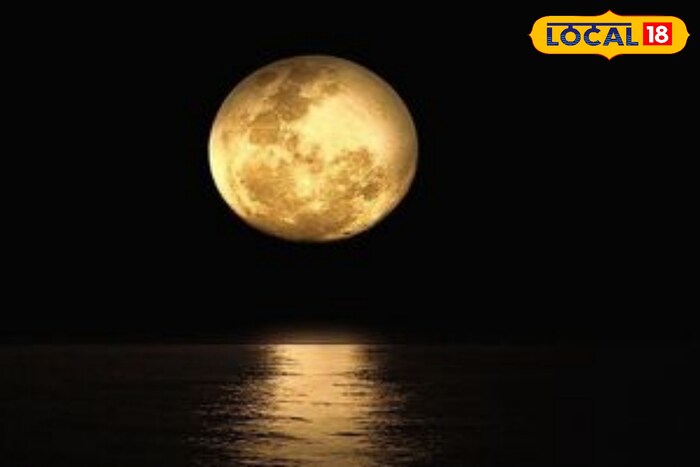 Astro Tips: মাঘী পূর্ণিমায় এই সময় স্নান করে এই কাজ করুন! রাতারাতি সুখ-সম্পদে ভরবে জীবন