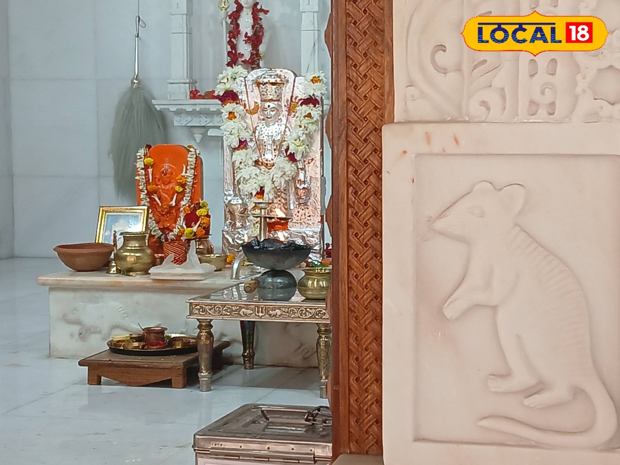 আর যেতে হবে না রাজস্থানে, ইঁদুরের জন্য বিখ্যাত করণী মাতার মন্দির এ বার হাওড়াতেই