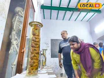 এক্সিবিশনে