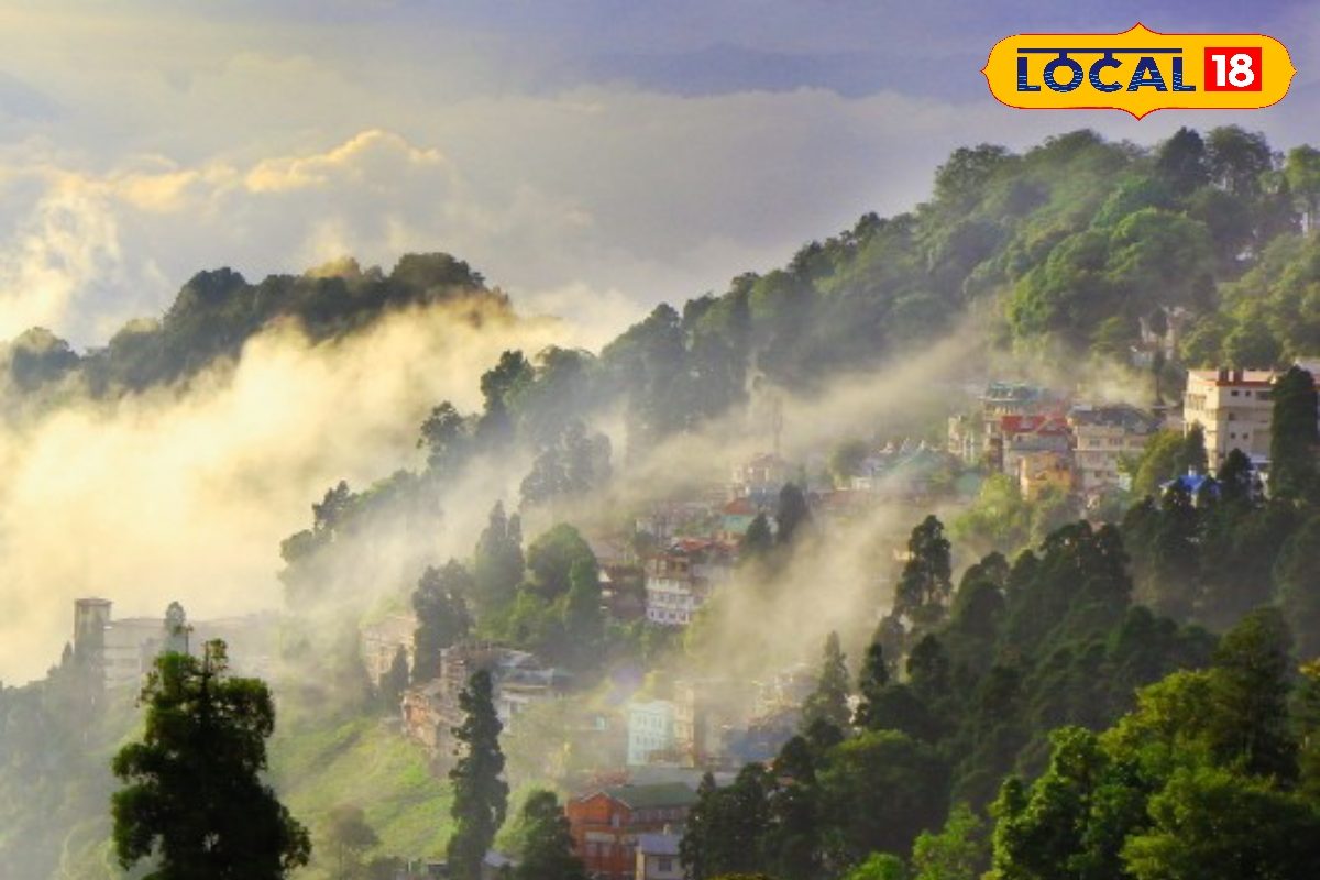 IMD Weather Update: ওয়েদার আপডেটে বড় চমক, বৃষ্টি কি নামবে পাহাড়ে, দক্ষিণে ঠান্ডার লাস্ট স্পেল কবে, তারপরেই চড়বড়িয়ে বাড়বে পারদ