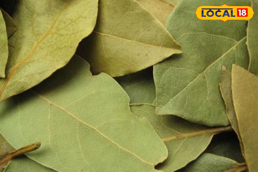 শরীরের ক্লান্তি দূর করতে জুড়ি নেই তেজপাতার জলের।শরীরে দারুণ শক্তি জোগায় এটি।তাই রোজ খেতে পারেন এই জল।ক্যাফেক অ্যাসিড থাকে বলে হৃদ‌্‌যন্ত্রকে শক্তিশালী করে তুলতে পারে তেজপাতা। কোলেস্টেরলের মাত্রা কমিয়ে হার্ট অ্যাটাকের ঝুঁকি কমায়।