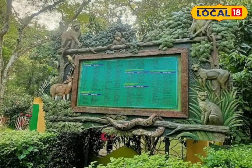 ভারত বাংলাদেশ সীমান্ত লাগোয়া বনগাঁ মহকুমায় মঙ্গলগঞ্জ নীলকুঠি সহ পর্যটকদের অন্যতম আকর্ষণের কেন্দ্রবিন্দুতে থাকে পারমাদান ফরেস্ট