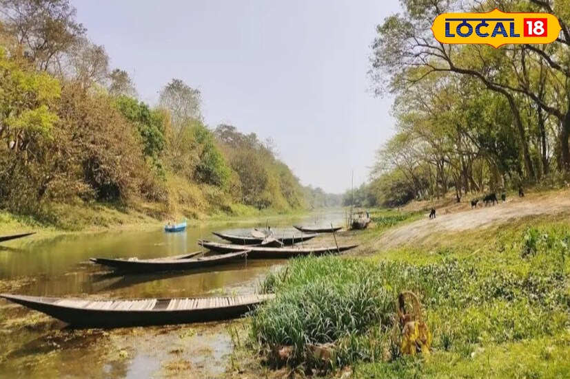 জঙ্গলের বুনো গন্ধ, নদীর জলের ছলাৎছলাৎ, সবুজে মোড়া প্রকৃতি, নির্জন পরিবেশে সারাদিন ধরে নানা পাখির ডাক পৌঁছে দেয় অনবদ্য এক প্রকৃতির কোলে