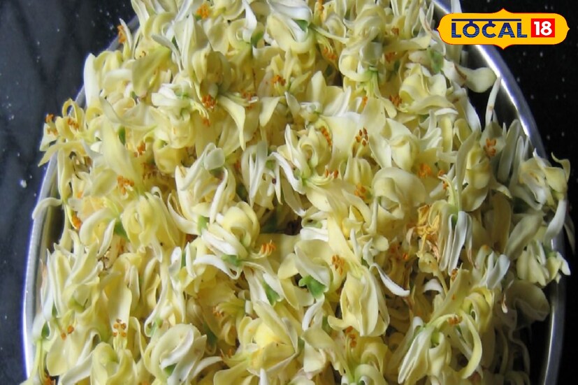 বিশেষজ্ঞরা বলছেন শীতের শেষে এবার বসন্ত দুয়ারে এসে দাঁড়িয়েছে আর এই সময় নানান রোগ দেখা দিতে পারে।তাই প্রত্যেকদিন সকালে উঠে এখন নিয়মিতভাবে খালি পেটে এক কাপ সজনের ফুল জল দিয়ে ফুটিয়ে পান করতে পারেন।রোগ প্রতিরোধ ক্ষমতা বাড়িয়ে তুলবে এই ফুল দিয়ে ফোটানো গরম জল পান।