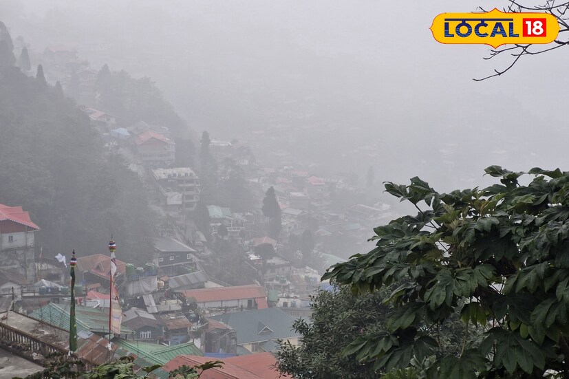 বৃহস্পতিবার সকাল থেকেই ঘন কুয়াশার সঙ্গে উত্তুরে হওয়ার দাপট।একদিকে ঘন কুয়াশা অন্যদিকে শৈল শহরে বৃষ্টি সবমিলিয়ে উত্তরের পাঁচ জেলাতেই জমজমাটি শীতের আমেজ। দার্জিলিং কালিম্পং সহ ঠাণ্ডায় কাঁপছে কোচবিহার জলপাইগুড়ি এবং আলিপুরদুয়ারও।