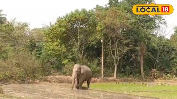 ঝাড়গ্রাম