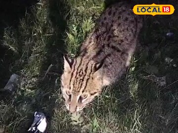 একইদিনে