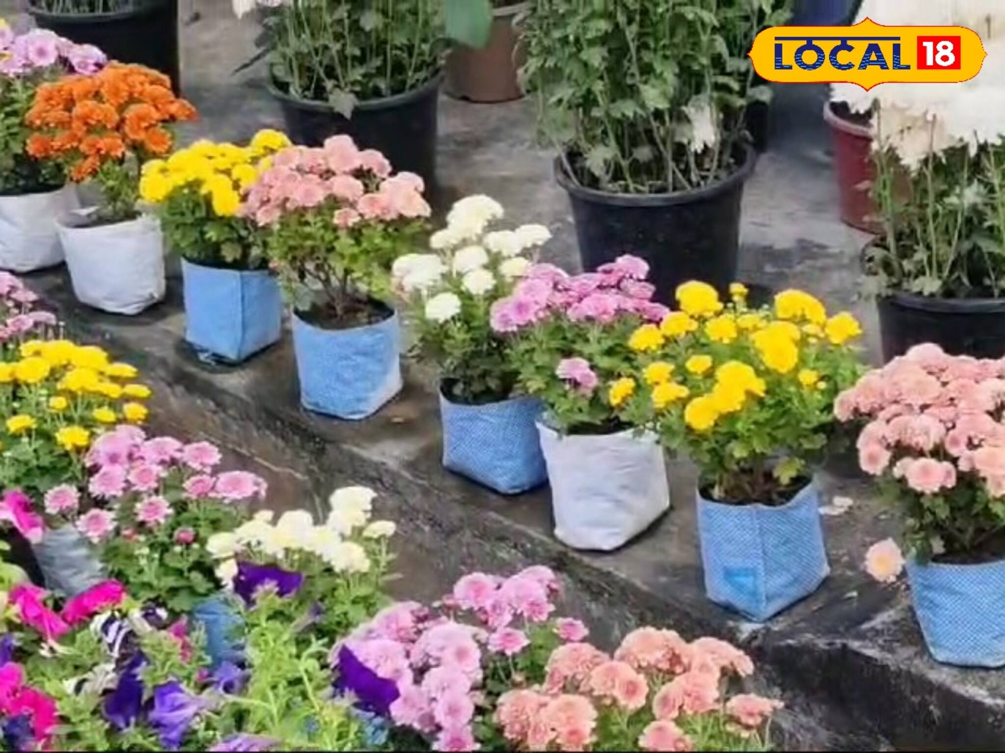 এগ্রিকালচারের পাশাপাশি হটিকালচারে আগ্রহ বাড়াতে হাতে কলমে প্রশিক্ষণ উদ্যানপালন দফতরের