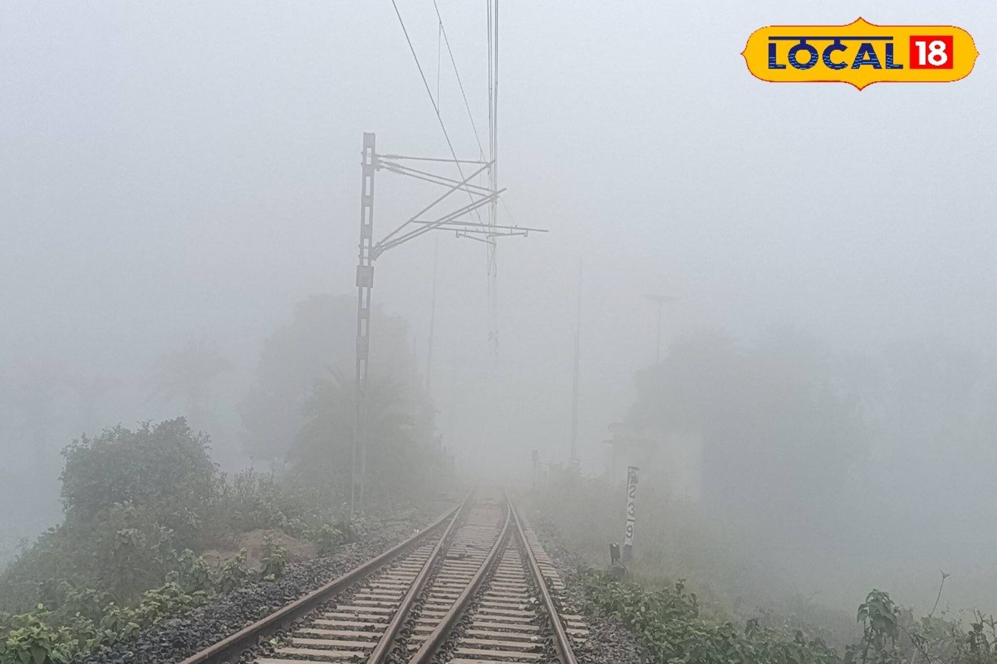 ফের কুয়াশায় ঢাকল গৌড়বঙ্গ, শীত কি আর ফিরবে? আবহাওয়ার বড় খবর