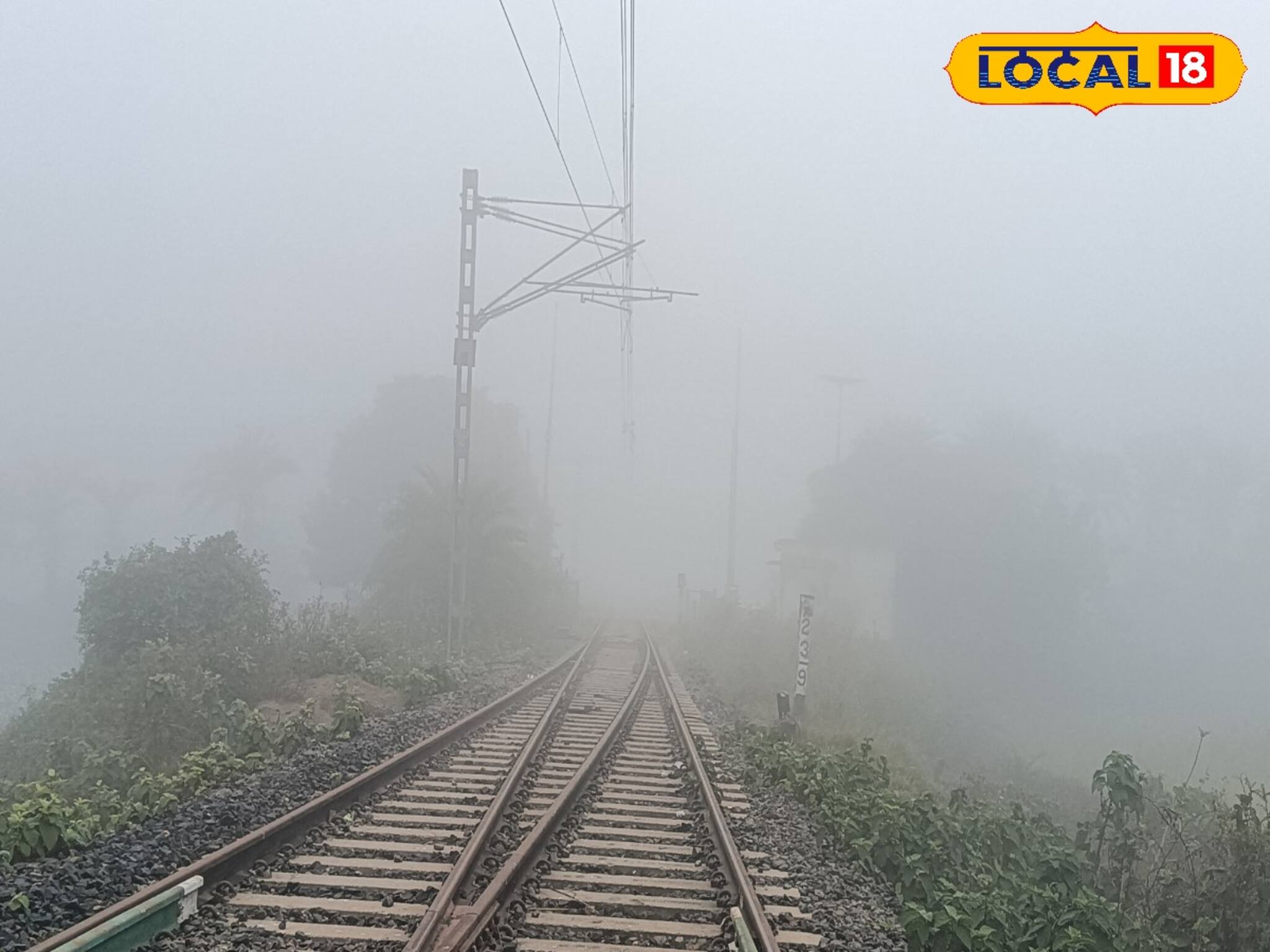 ফের কুয়াশায় ঢাকল গৌড়বঙ্গ, শীত কি আর ফিরবে? আবহাওয়ার বড় খবর