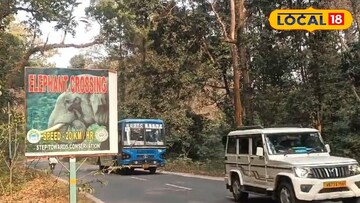 মাধ্যমিক