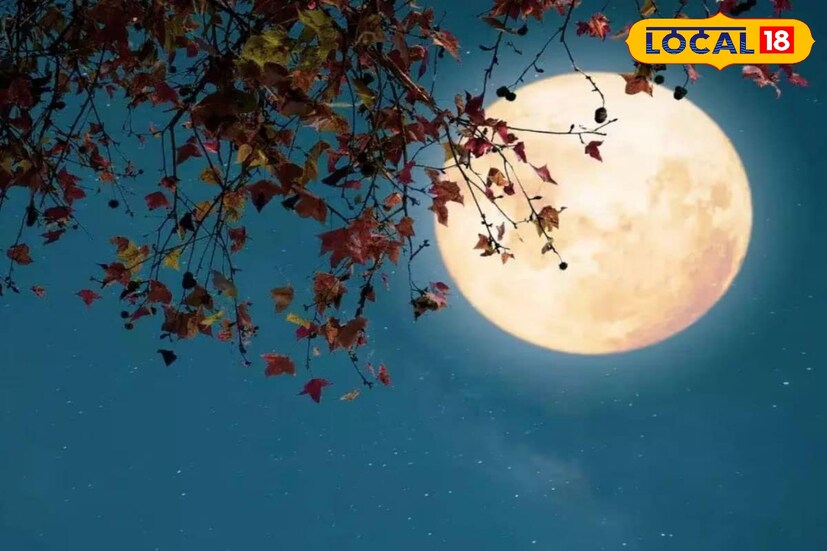 মাঘী পূর্ণিমার অত্যন্ত গুরুত্ব রয়েছে । এইদিনে গঙ্গা নদীতে স্নান করা এবং দান করা শুভ এবং ফলপ্রসূ বলে বিবেচিত হয় । পঞ্জিকা অনুসারে, প্রতি বছর মাঘ মাসের শুক্লপক্ষের পূর্ণিমা তিথিতে মাঘী পূর্ণিমা পালিত হয়।