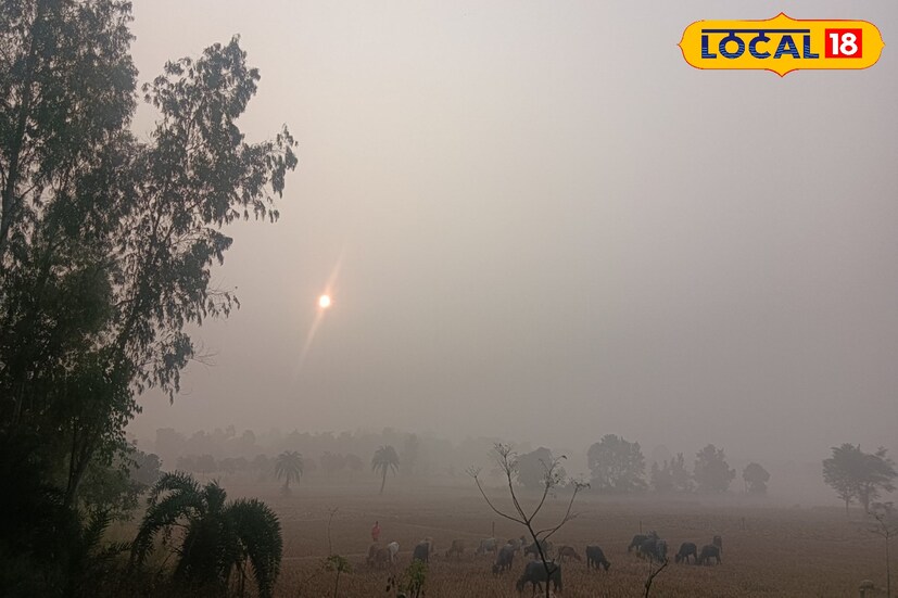 ধীরে ধীরে গৌড়বঙ্গের জেলাগুলির তাপমাত্রার পারদ আরও বৃদ্ধির পূর্বাভাস রয়েছে। তাপমাত্রা বৃদ্ধি পেলেও ঠান্ডার দাপট থাকবে জেলাগুলিতে। সঙ্গে উত্তুরে হওয়া বইবে।