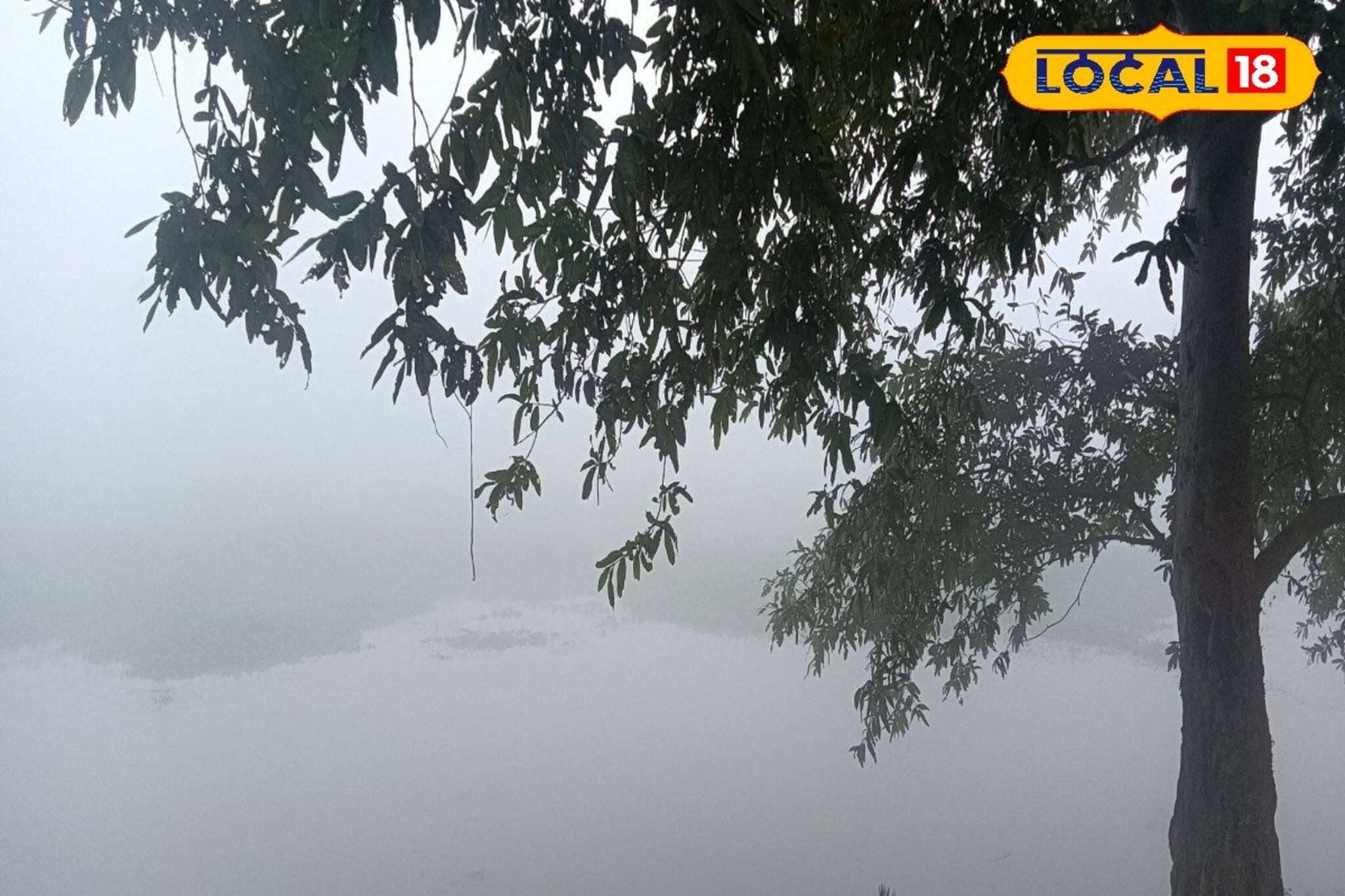 এক ধাক্কায় বাড়বে ৪ ডিগ্রি তাপমাত্রা! আসছে প্রবল গরমের দিন, কবে? জানাল হাওয়া অফিস