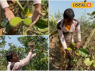 ধান চাষের থেকে এই চাষ লাভ অনেক বেশি, রোজগার হবে লাখ লাখ টাকা