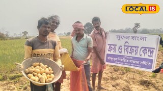 আলু বিক্রি 