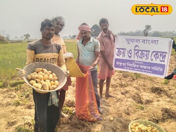 আলু বিক্রি 