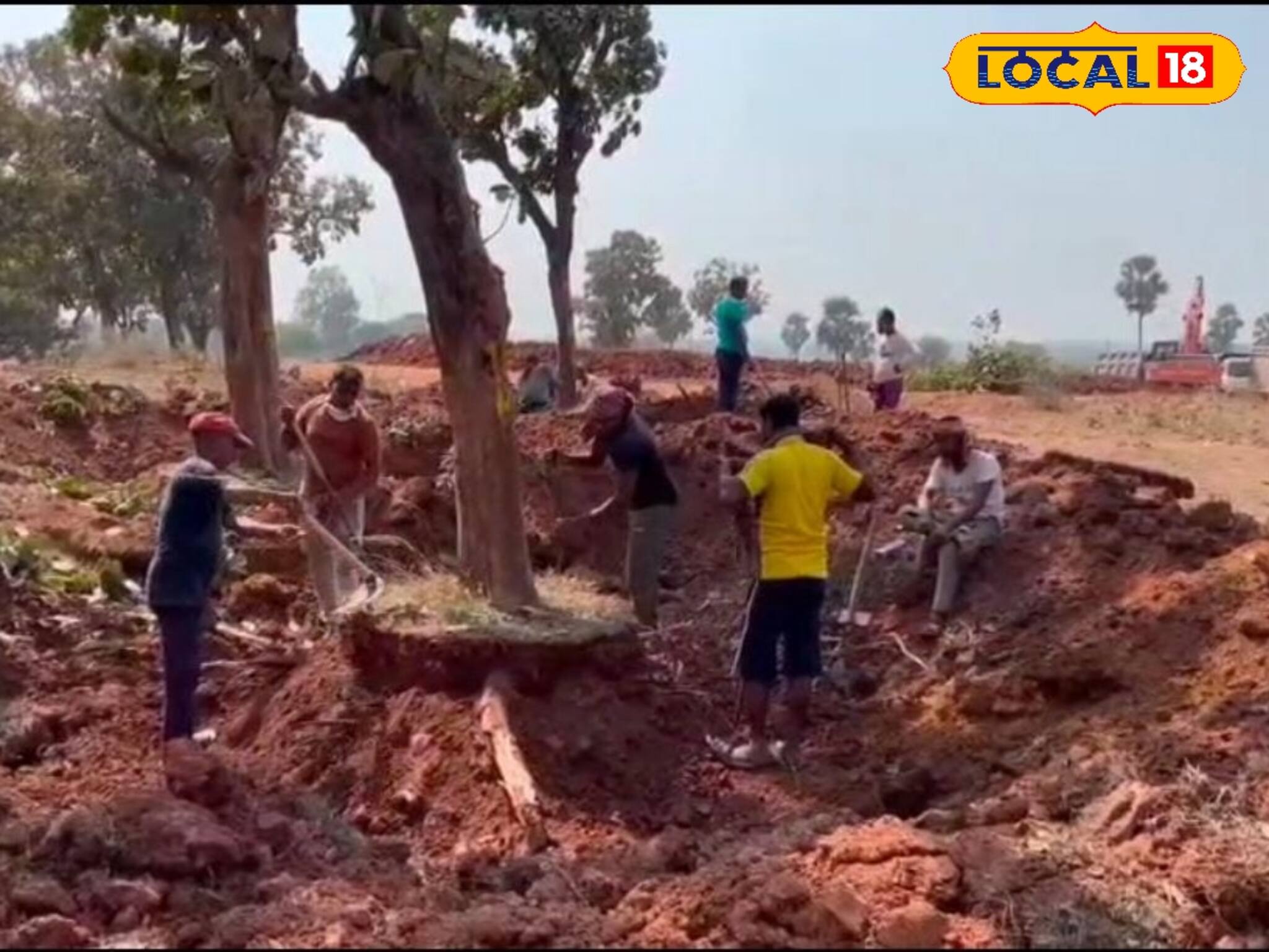 স্ত্রীর সিঁথিতে নয়, বরং গাছের মাথায় দেওয়া হল লাল সিঁদুর,কপালে পড়ল চন্দন!