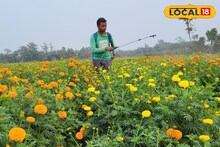 ধান চাষের মাঠ জুড়ে ফুল ফুটিয়ে মালামাল কৃষক, জানুন কীভাবে?