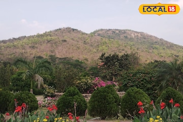 পাথর কেটে ভাস্কর্য, পেঁচা, ঘোড়া বানানোর দিন শেষ! নতুন আইনে মাথায় হাত শিল্পীদের পাথর কেটে ভাস্কর্য, পেঁচা, ঘোড়া বানানোর দিন শেষ! নতুন আইনে মাথায় হাত শিল্পীদের