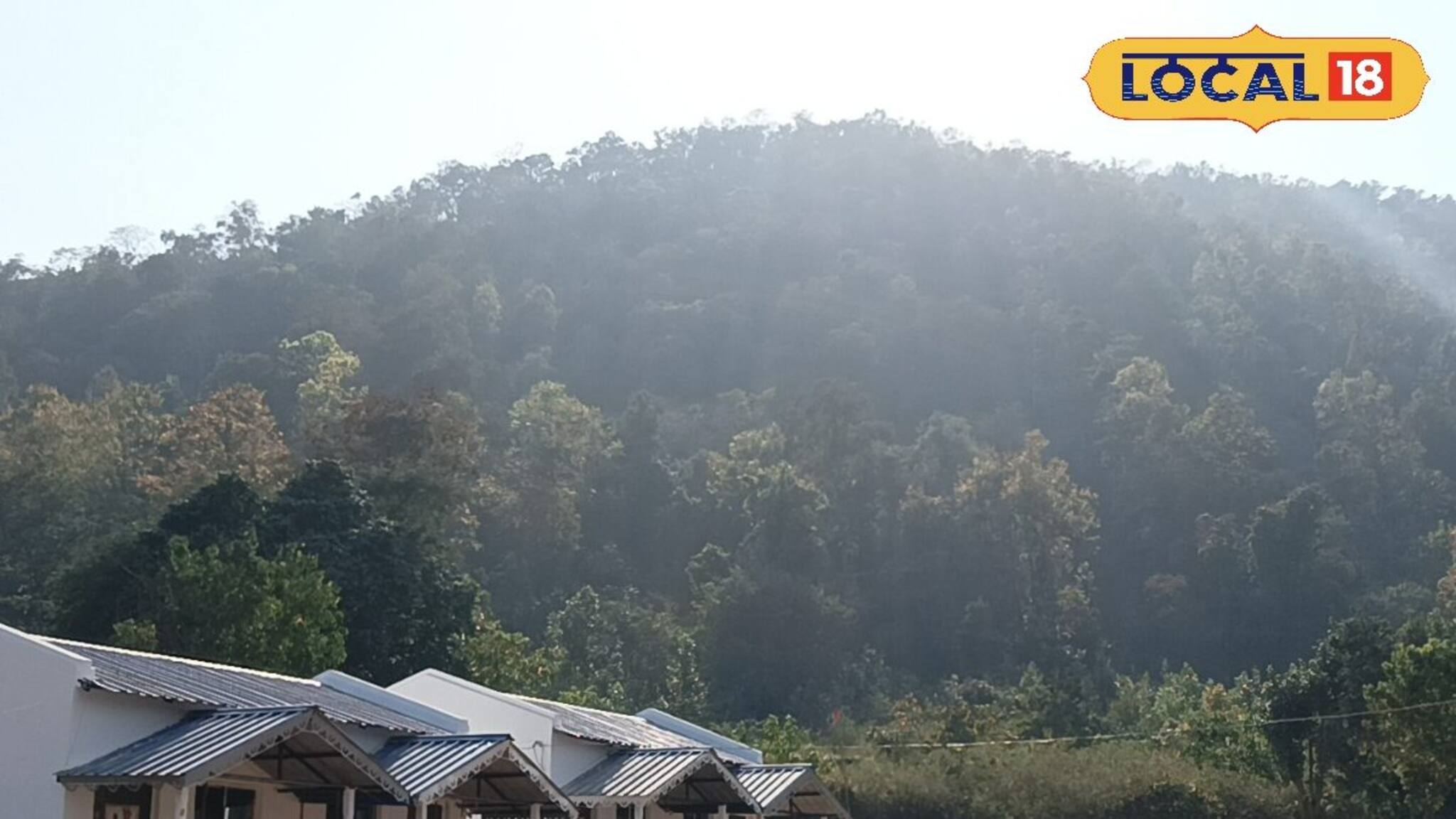 Jhargram News: অনাহারের আমলাশোল এখন রোজগারের খনি! হেসেখেলে ১০ হাজার টাকা রোজগার করছেন যুবক-যুবতীরা